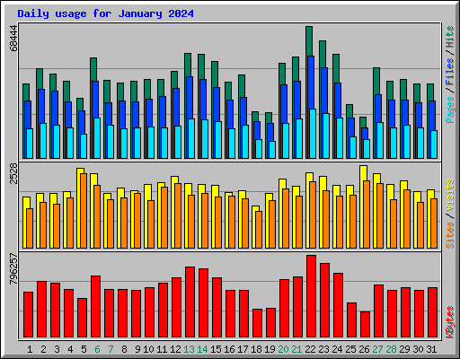 Daily usage for January 2024