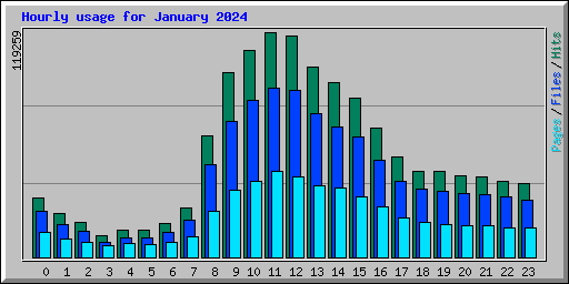 Hourly usage for January 2024